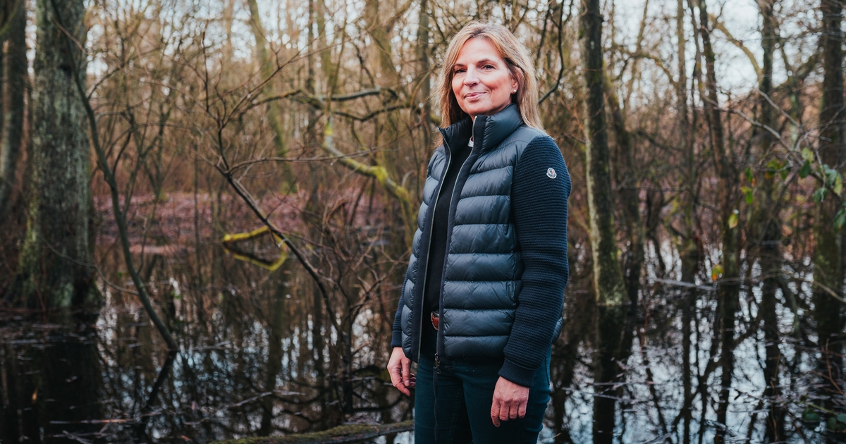 Otto Group Moore, die Superhelden im Kampf gegen die Klimakrise