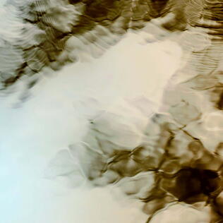 Umwelt- und Klimaschutz: Nachhaltige Möbel aus dem Moor