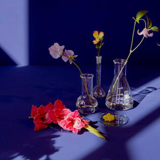 Umgang mit Chemikalien: Sauber bleiben!